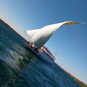 98b3ca60-9ff1-4ff5-9732-daa0923ec44f