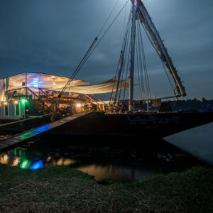 Gorgonia-Dahabiya-11